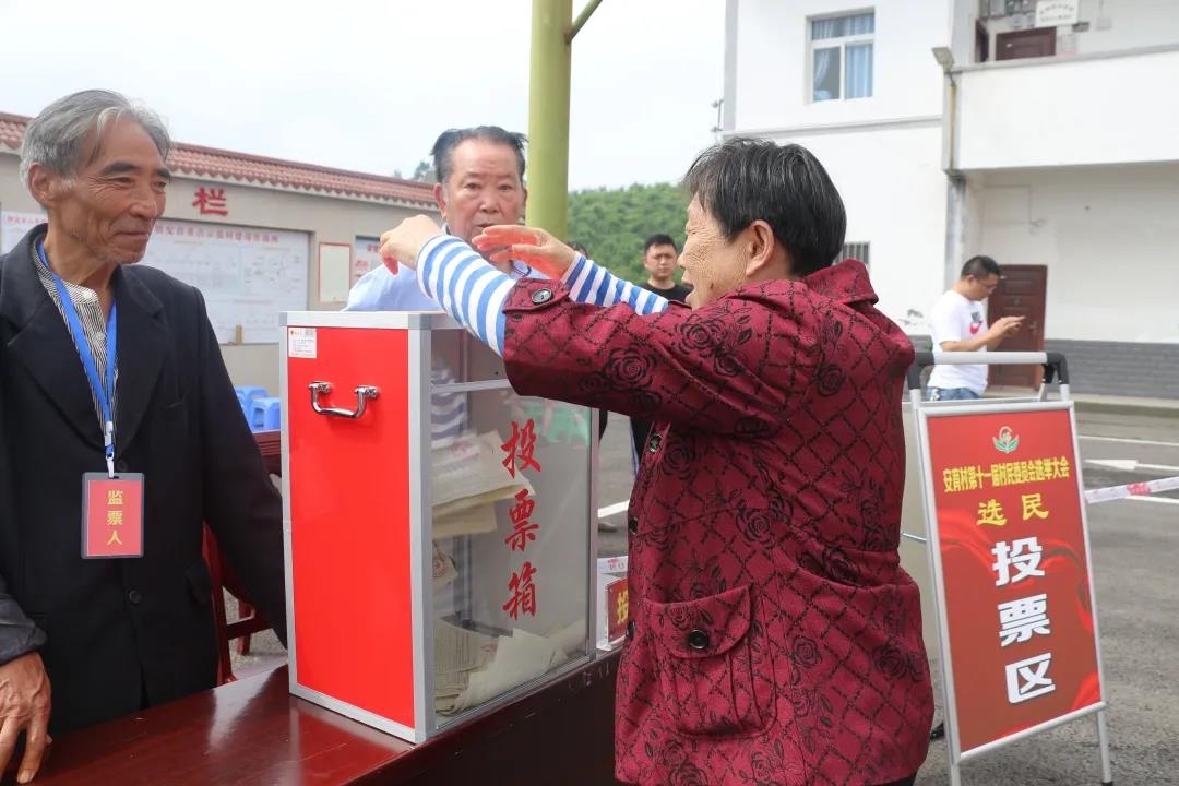 选民投上自己宝贵的一票.jpg